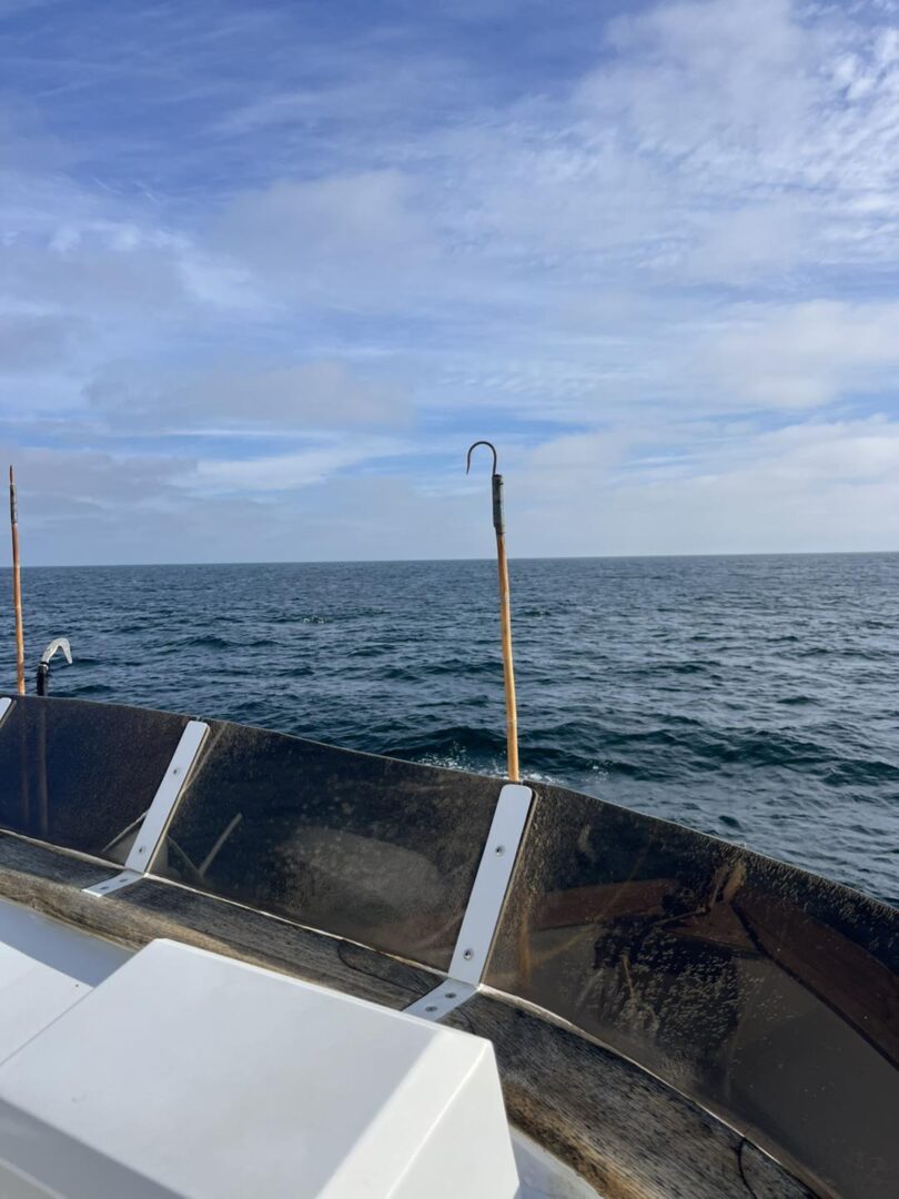 Calm sea under cloudy sky