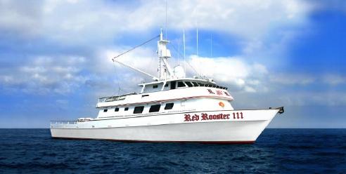 Red Rooster III on blue ocean